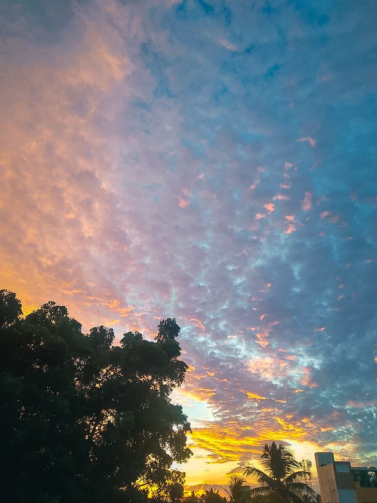 Фотография автора Priya Ojha