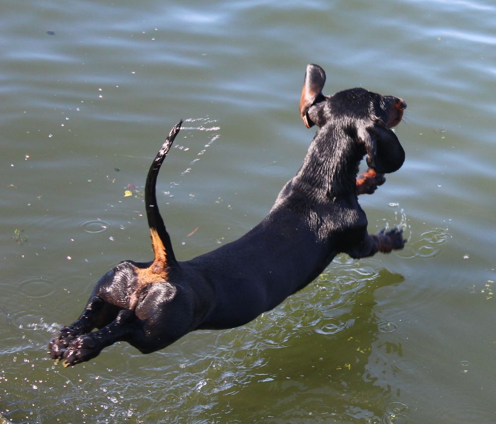 Photograph by Анна