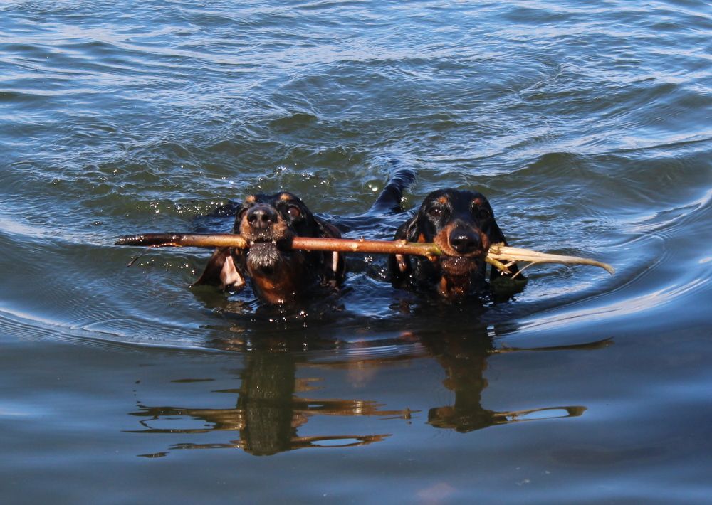 Photograph by Анна