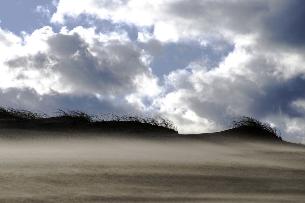 Photograph by Rolandas Valančauskas