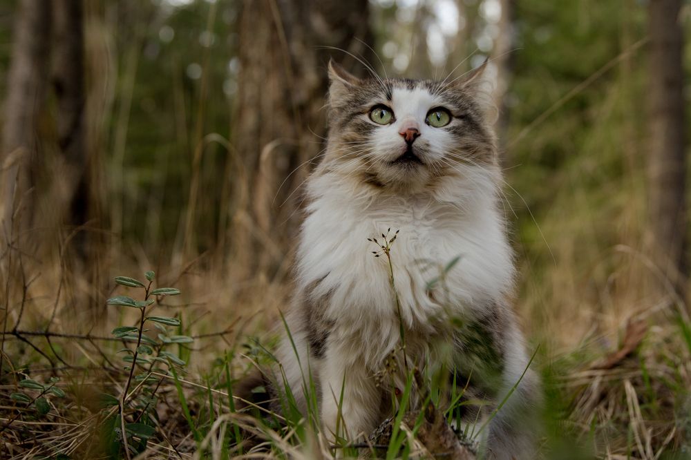 Photograph by Инна Юдина