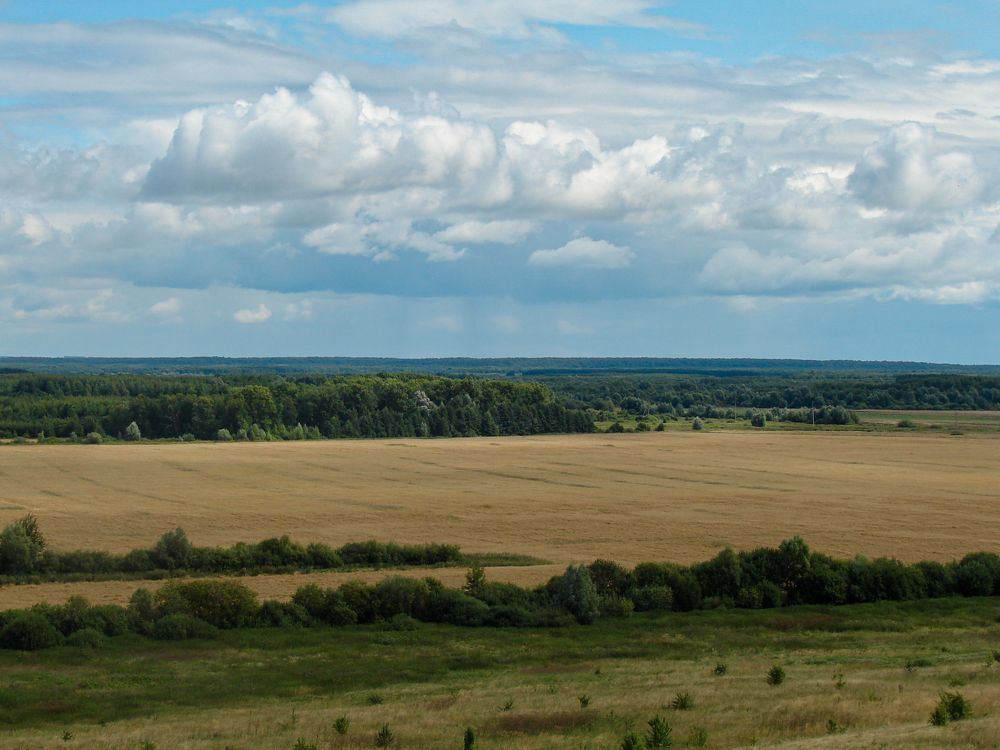 Фотография автора Оксана Сырчина