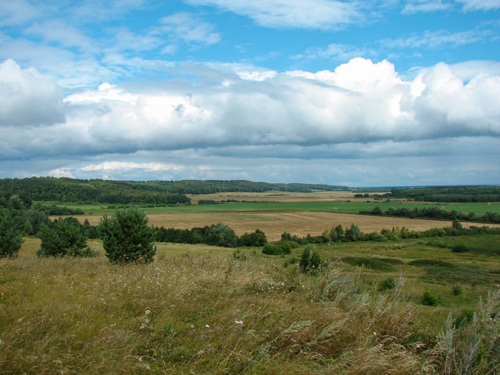 Фотография автора Оксана Сырчина