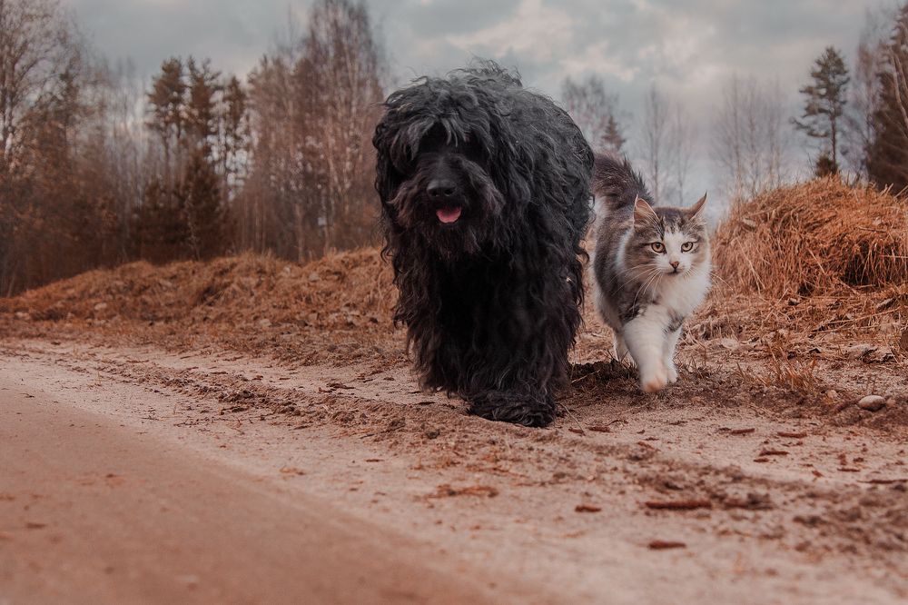 Photograph by Инна Юдина