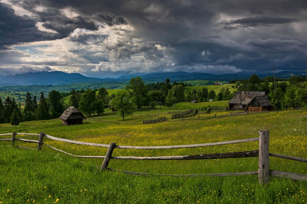 Перед грозой
