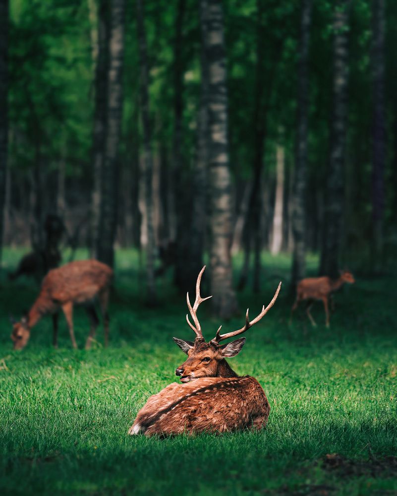 Фотография автора Павел Курицын