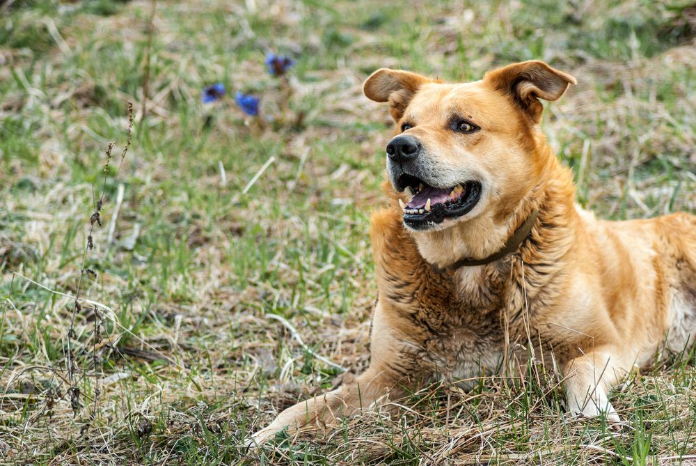 Photograph by Денис Кичев