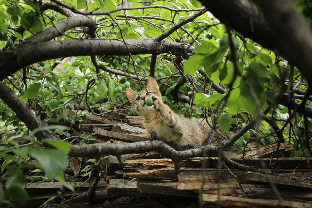 Photograph by Марина Евграфова