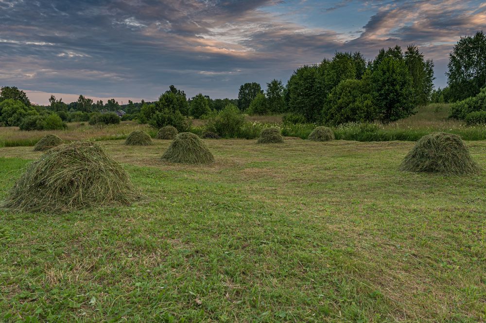Photograph by Александр