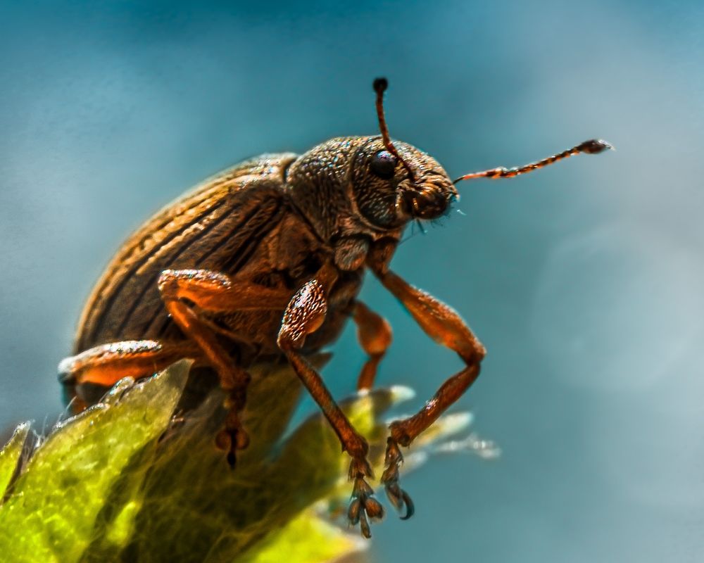 Photograph by Галина Суровицкая