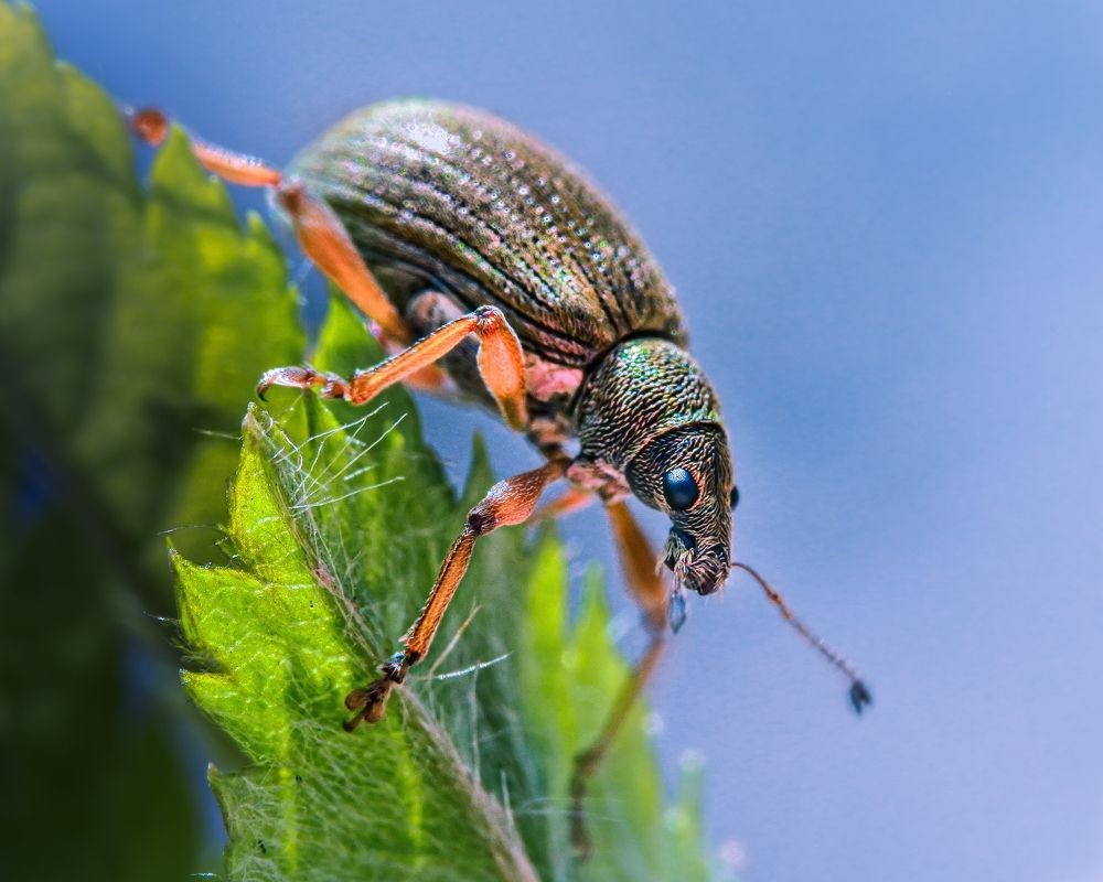 Photograph by Галина Суровицкая
