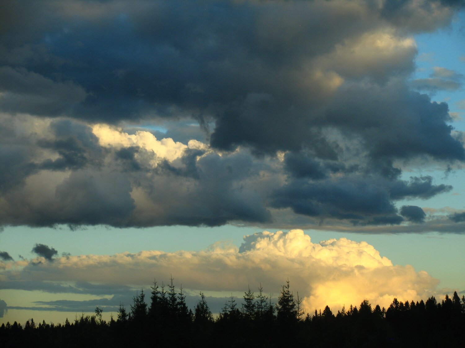 Photo #6129838