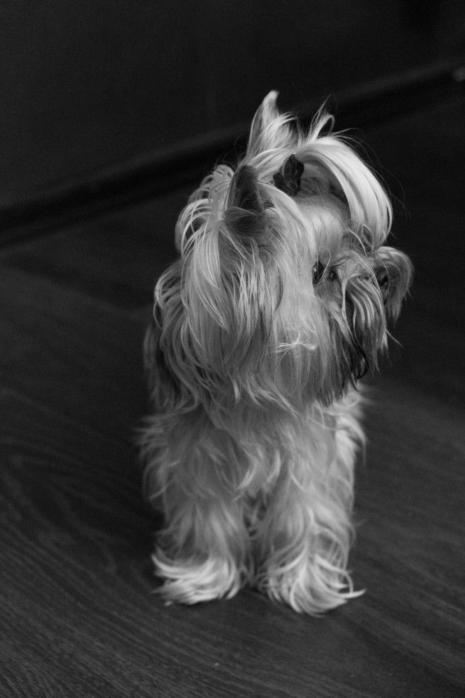 Photograph by Михаил Серебренников