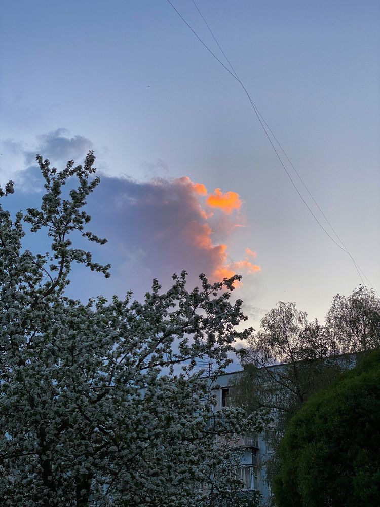 Photograph by Екатерина Амирасланова