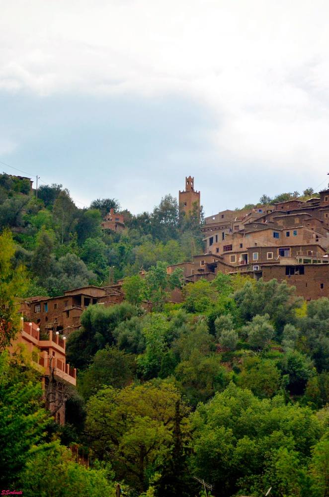 Photograph by SAID SERBOUTI