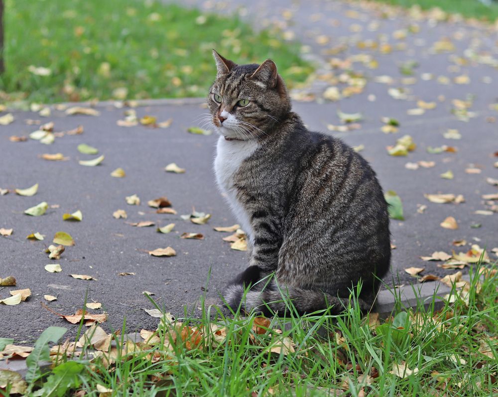 Photograph by Tatyana Semenova