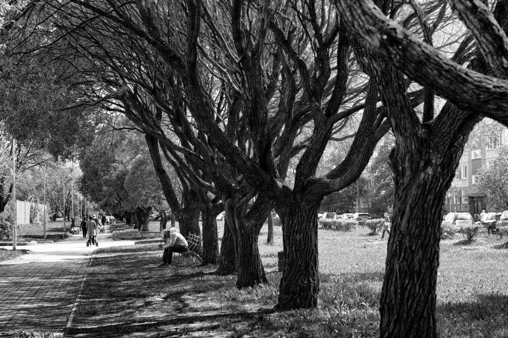 Photograph by Tatyana Semenova