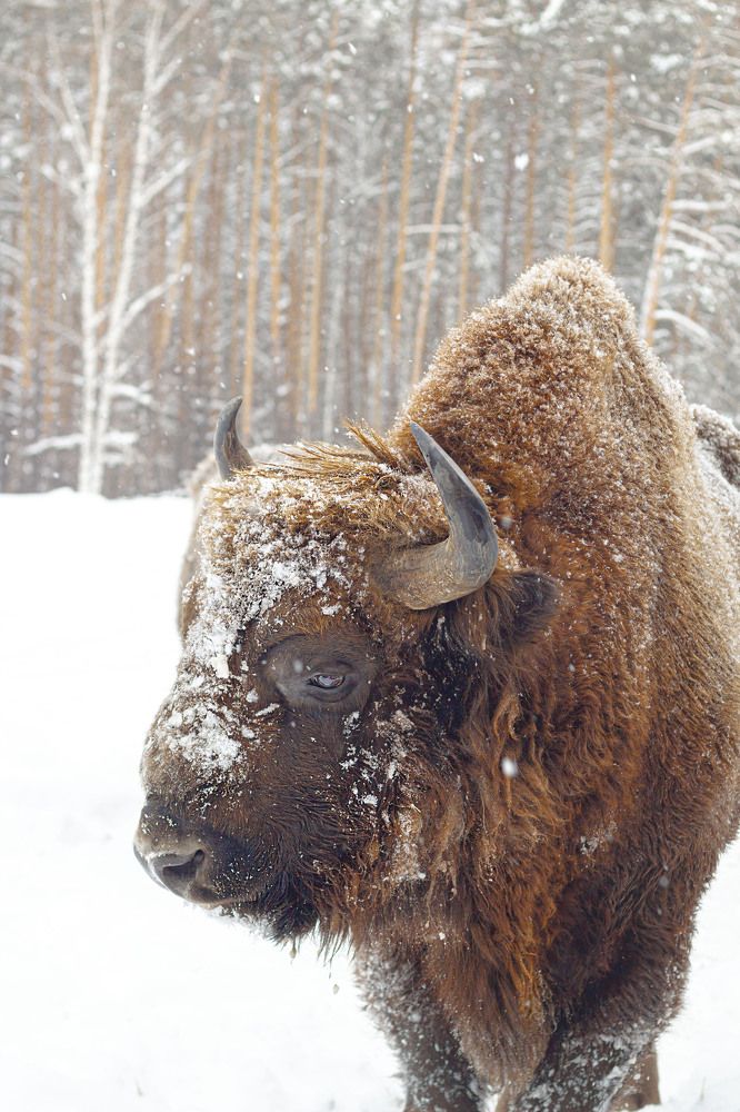 Photograph by Дмитрий Чудинин