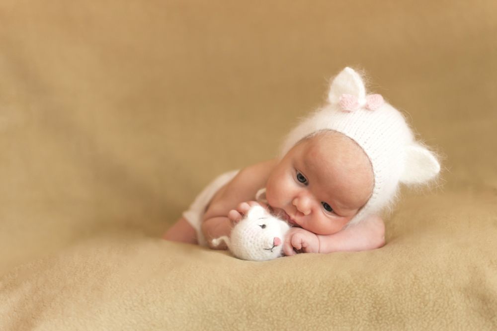 Фотография автора Алексей Березкин