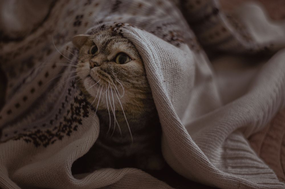 Photograph by Olga Gantman