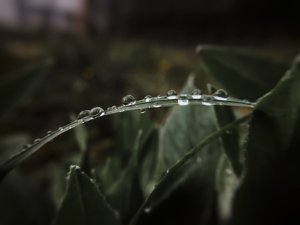 Photograph by Светлана Ишкина