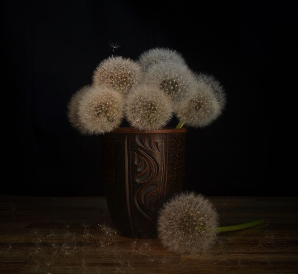 Фотография автора Евгения Илина