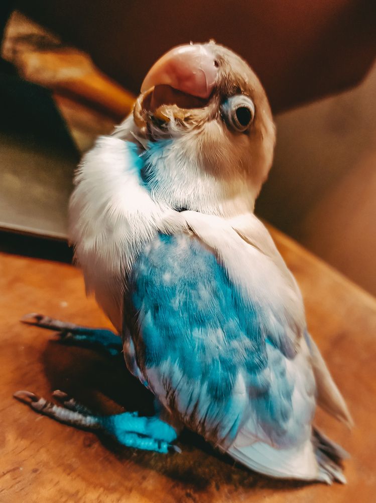 Photograph by Karlos Vincent Bitoin