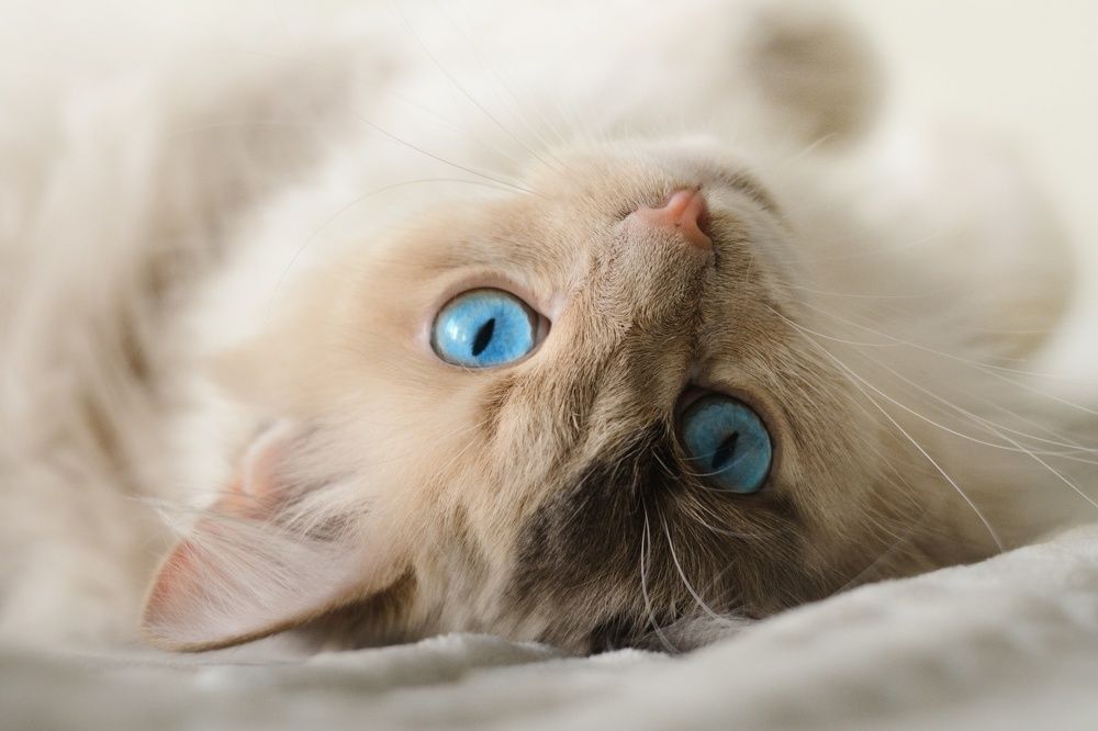 Photograph by Юлия Марфонова