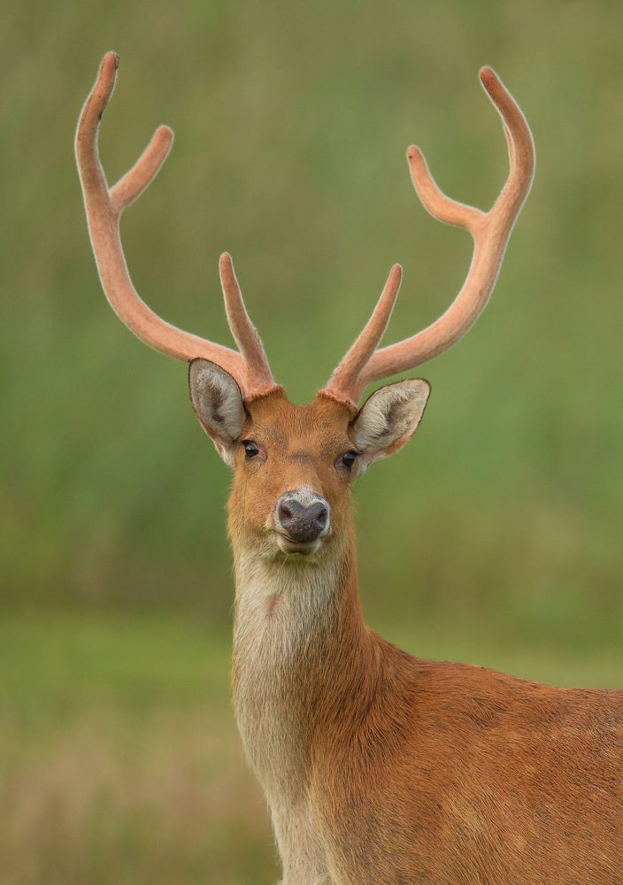 Фотография автора Sanjay Shukla