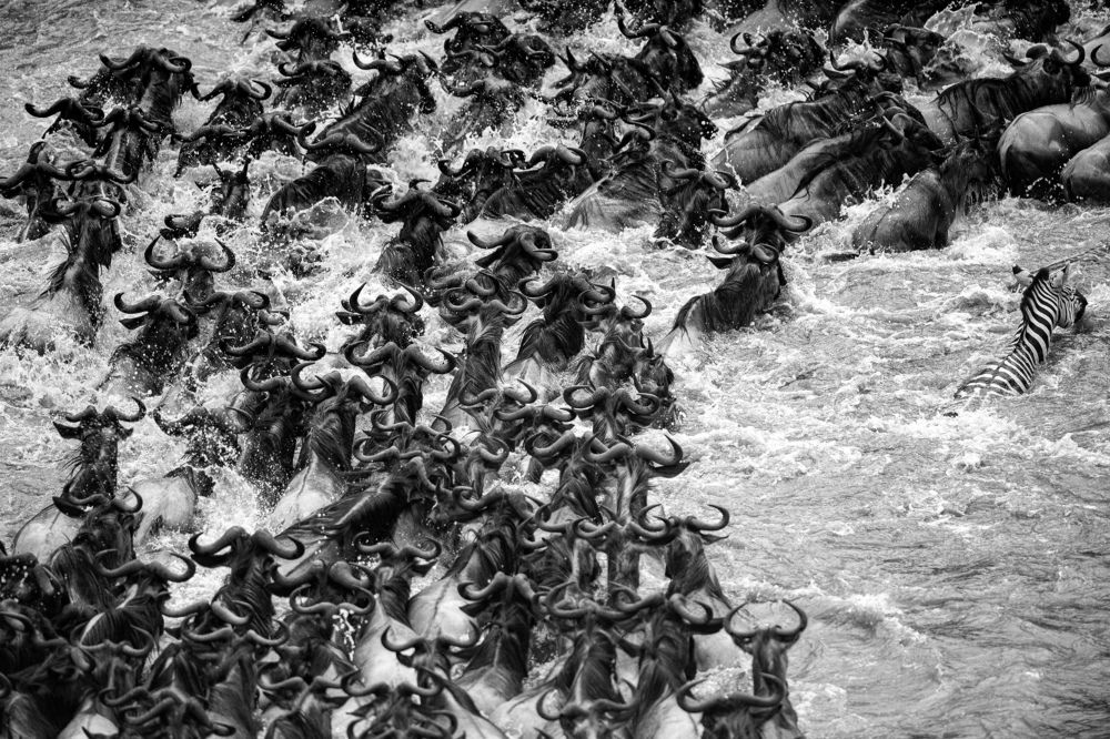 Фотография автора Sanjay Shukla