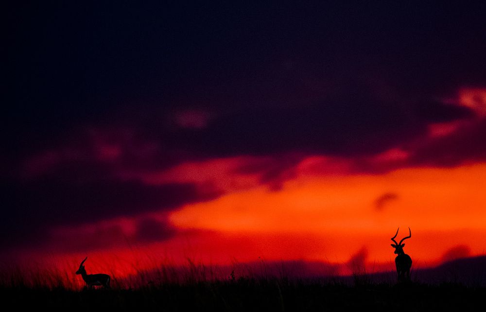 Фотография автора Sanjay Shukla