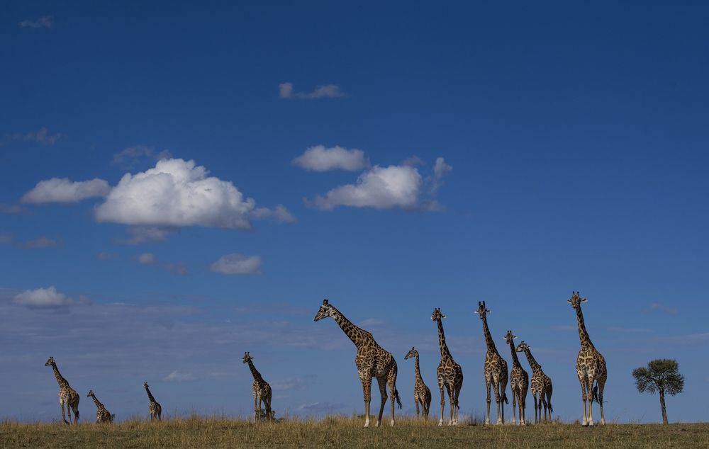 Фотография автора Sanjay Shukla