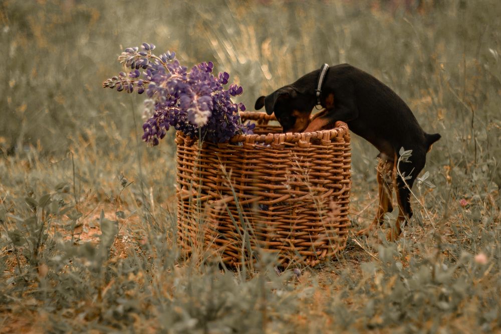 Photograph by Сергей Барабулькин