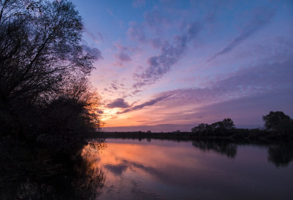 Фотография автора Тамара Нижельская