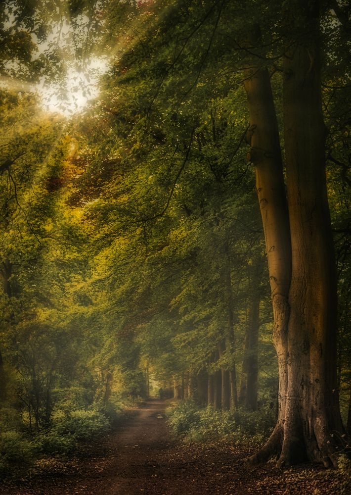 Фотография автора Leompescu Emanuel