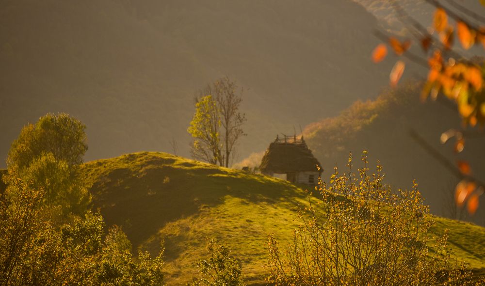 Фотография автора Leompescu Emanuel