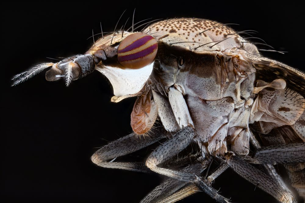 Photograph by Vicente Manuel Alvarez Mena