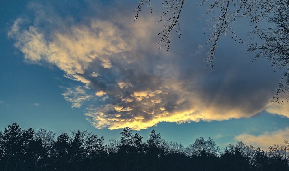 Photo #6130259