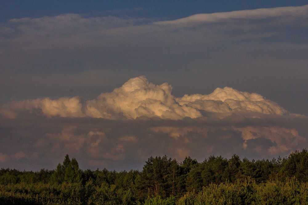 Photograph by Dariusz Pańczyk