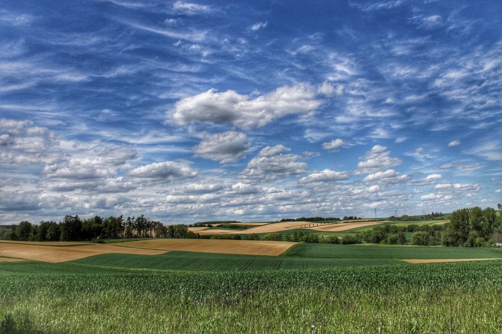 Photograph by Swetlana Lebedev