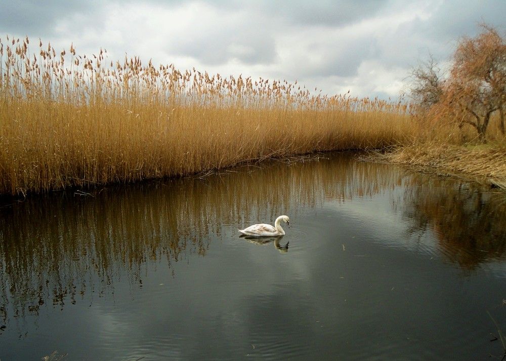 Photograph by Дмитрий Соколов
