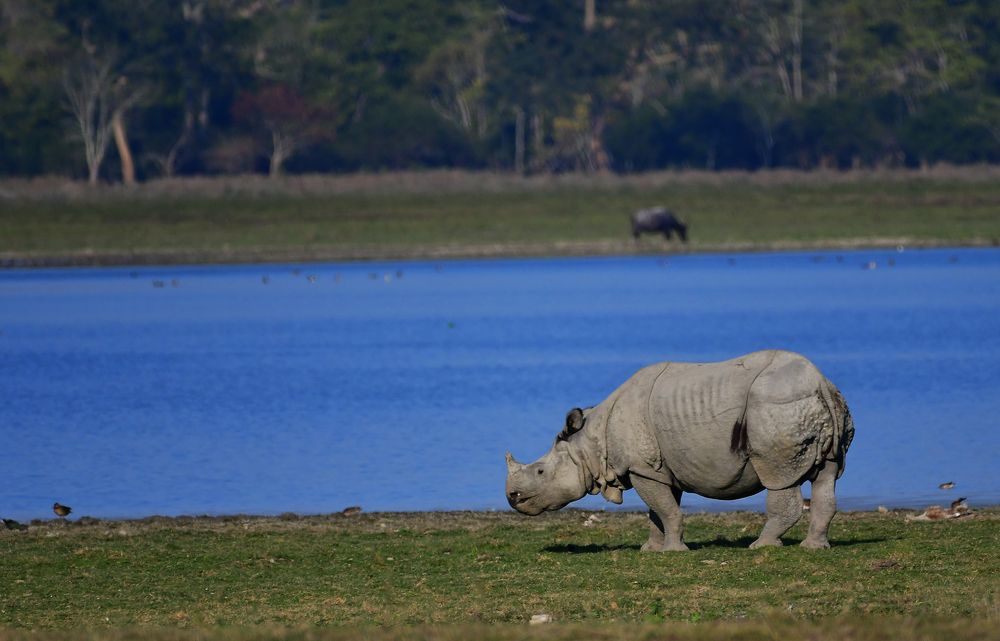 Фотография автора Sanjay Shukla