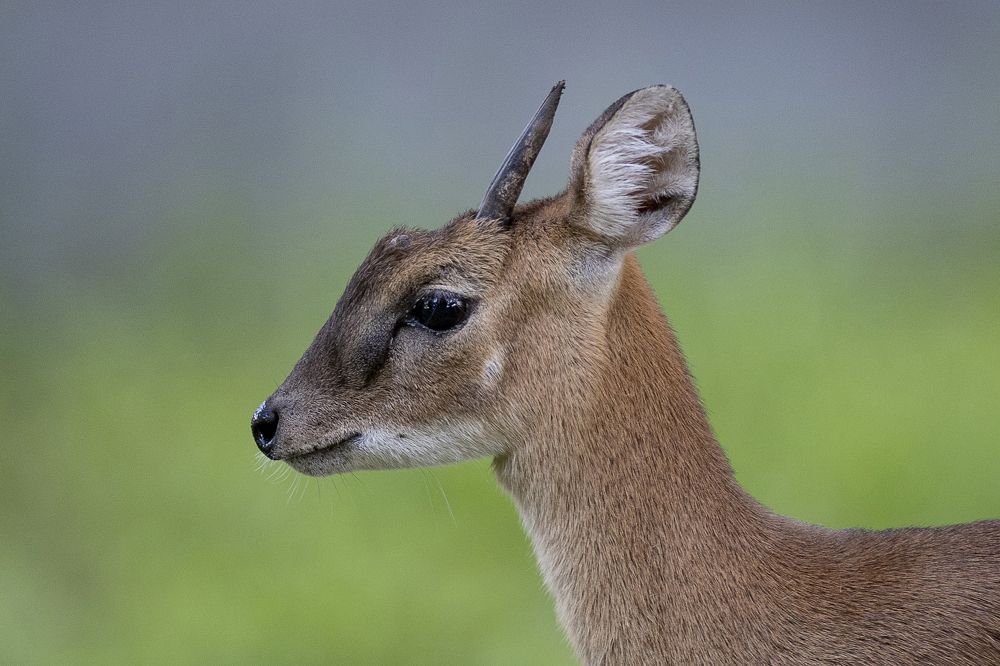 Фотография автора Sanjay Shukla