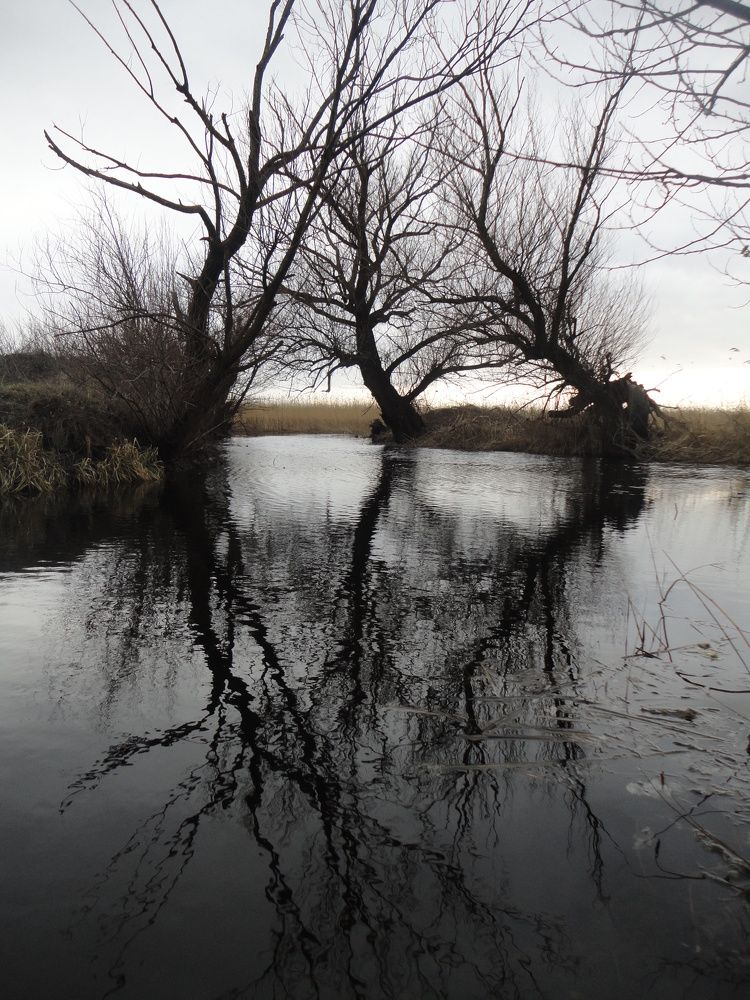 Photograph by Дмитрий Соколов