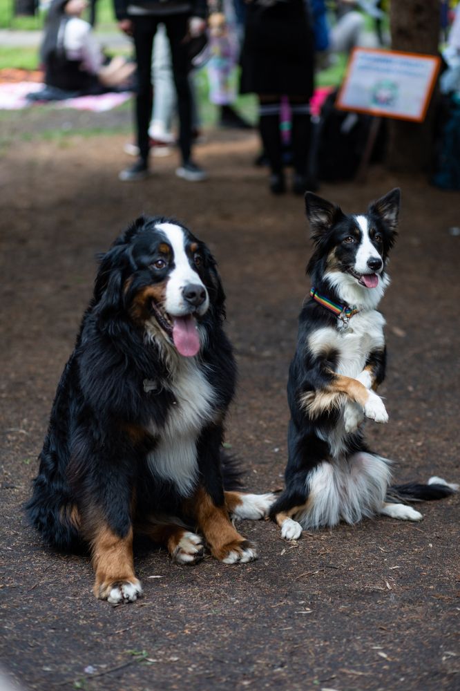 Фотография автора Тамара Нижельская