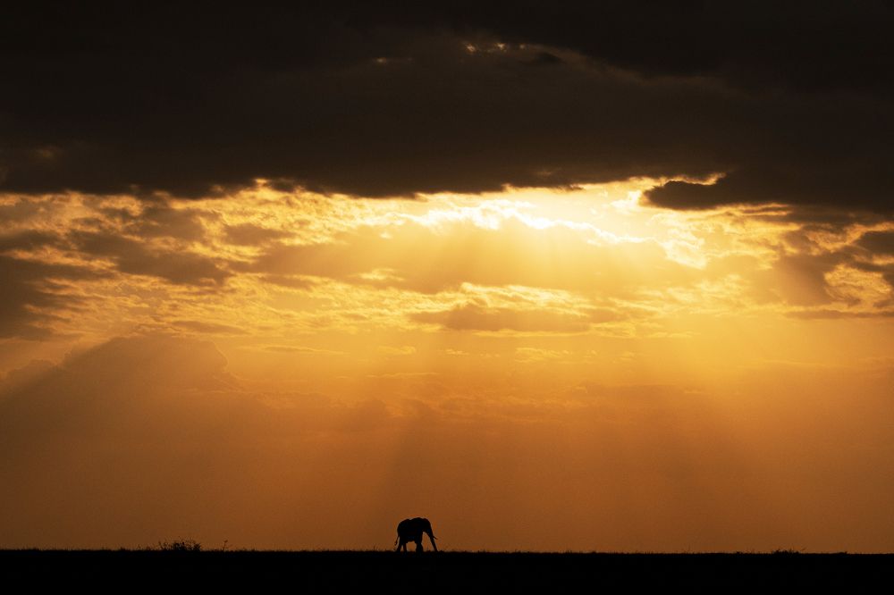 Фотография автора Sanjay Shukla