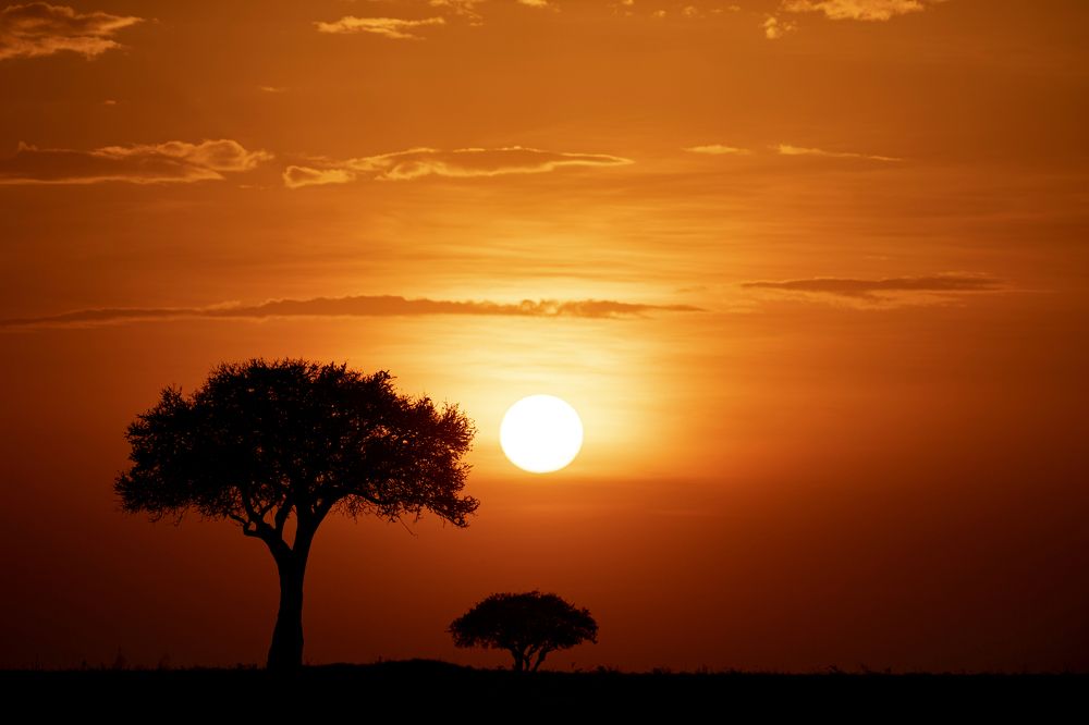 Фотография автора Sanjay Shukla