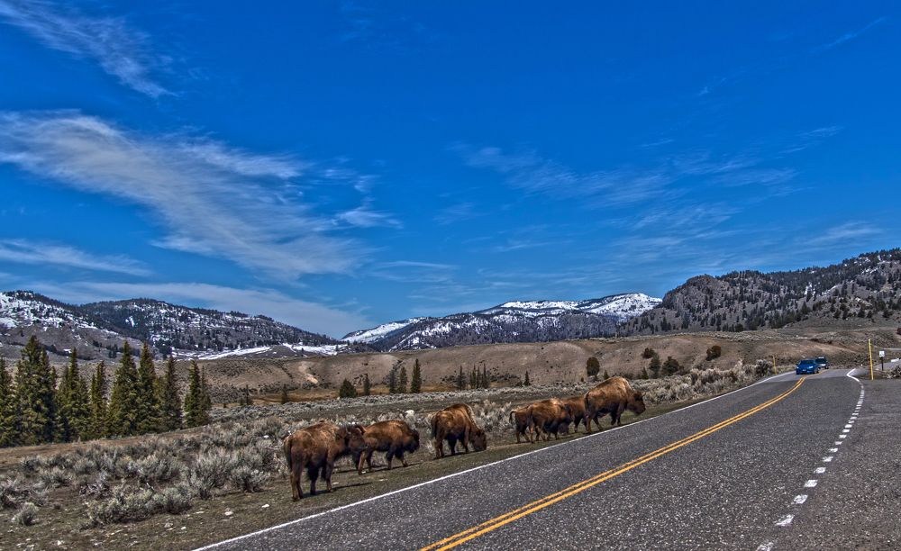 Фотография автора Sanjay Shukla