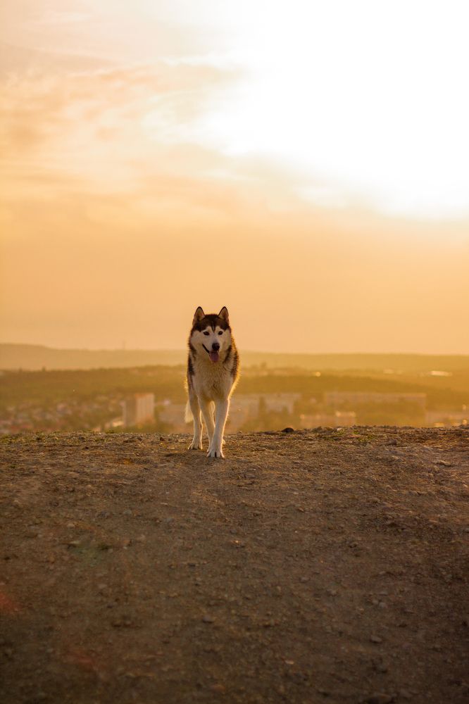 Photograph by Артур Хасанов