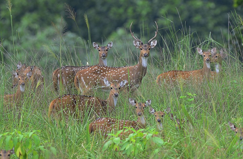 Фотография автора Sanjay Shukla